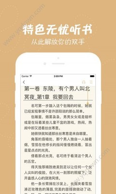 爱游戏app资助意甲